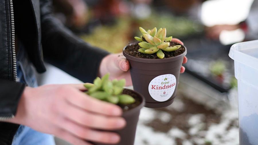 Two hands holding flower pots.